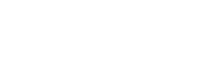 MINT Platforms Logo